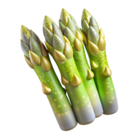 extraordinary rustic Asparagus Spears for Grilling Isolated for Spring Menus png