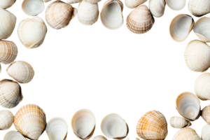 Shellframe, Seashells Border, Black Empty Rectangle, Top View, cut out transparent png