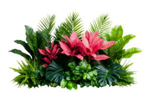 Lush Tropical Foliage Display with Vivid Colors, cut out transparent png