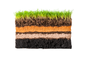 Soil layers with grass and roots profile, earth strata, cut out transparent png