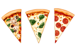 Pizza slices with toppings, different, illustration, cut out transparent png