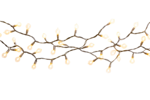 Twinkling string lights glow on a black background, cut out transparent png