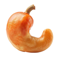 A Single Roasted Cashew Nut with a Unique Shape and Rich Orange Hue png