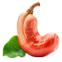 Closeup of a vibrant red cashew fruit with a green leaf background, showcasing its unique shape and texture png