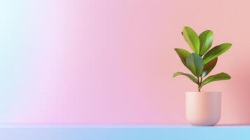 Green Plant in Pink Pot on Pastel Background photo
