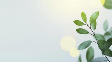Green Leaves And Soft Blue Background With Bokeh Lights Description photo