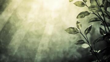 Silhouette of Leaves in Soft Sunlight Against Textured Green and Grey photo