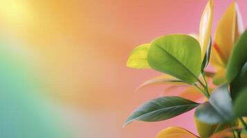Vibrant Green And Yellow Foliage Against Pastel Backgrounds With Soft photo