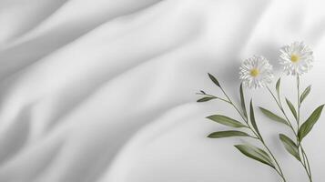 White Flowers On Smooth White Fabric Backgrounds photo