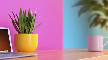Yellow Potted Snake Plant on Wooden Desk with Laptop and Mug On Desk photo