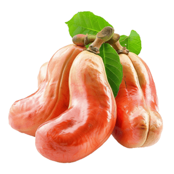 fechar-se do fresco maduro caju maçãs com verde folhas png