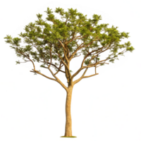 A single tree stands tall and proud against a white background with colorful pixelated artifacts png
