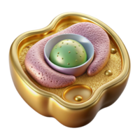 magnificent vintage Plant Cell Structure Isolated for Educational Graphics authentic png