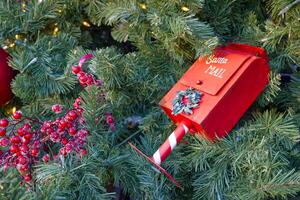 Santa Mailbox in Christmas Tree photo