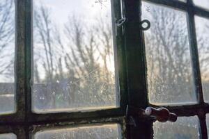 Old Dirty Window with Rusty Latch Overlooking Trees photo