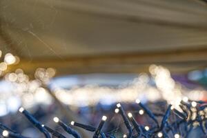 String Lights with Bokeh Under Canopy photo