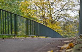 Curved Pedestrian Bridge in Autumn Park photo