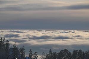 Serene Cloudy Landscape with Silhouetted Trees photo