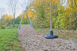 Autumn Playground with Tire Swing photo