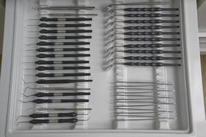 A neatly organized tray of dental tools, including various picks, probes, and tweezers, arranged in rows. The tools feature black handles and shiny metal tips, showcasing a professional dental setup. photo