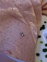 A metallic foreign body was found in a slice of poultry sausage photo