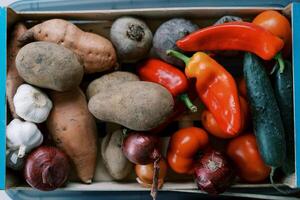 Multi-colored fresh vegetables lie in a wooden box. Top view photo