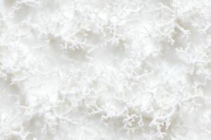 A close up of a white wall with some white paint photo