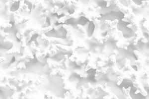 A close up of a white coral reef photo