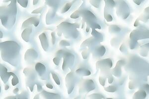 A white background with many small white corals photo