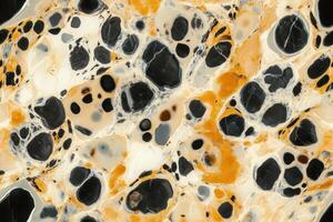 A close up of a marble surface with black and white spots photo