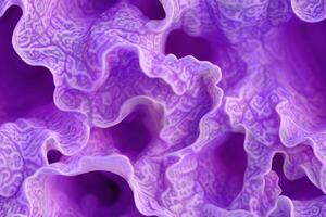 A close up of a purple flower photo