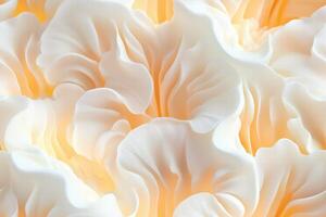 A close up of a white flower with yellow petals photo