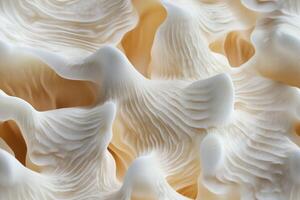 A close up of a white mushroom photo