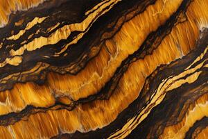 A close up of a tiger's skin with black and gold stripes photo