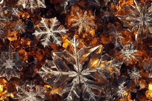 Snowflakes are arranged in a pattern on a black background photo