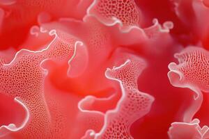 A close up of a red flower with white dots photo