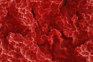 A close up of a red surface with many small holes photo
