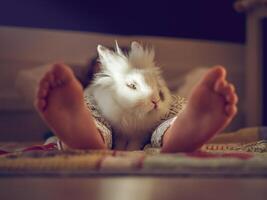Unrecognizable kid with rabbit on floor photo