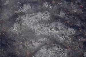Fragile ice on puddle of water photo