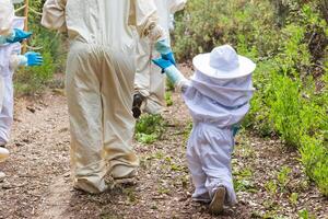 Child and beekeeper holding hands in apiary photo