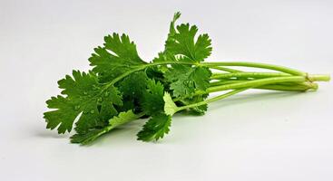A bunch of green herbs on a white surface photo