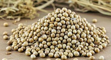 A pile of seeds on a table photo