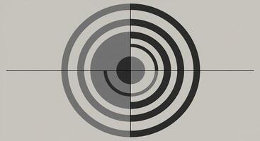 A black and white image of a target with a circle in the center photo