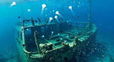 A shipwreck in the ocean with jellyfish photo
