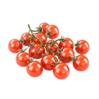 Fresh Ripe Red Tomatoes Growing on a Vine with Lush Green Leaves Isolated on Transparent Background png