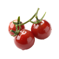 tomatoes on a branch with leaves on transparent background png