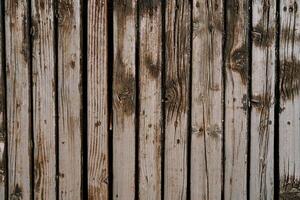 Texture of an old unpainted shabby wooden fence photo