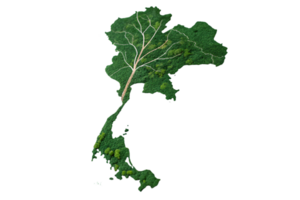 A map of Thailand with a branching tree-like pattern, symbolizing the country's natural rivers, forests, and the interconnectedness of its ecosystems png