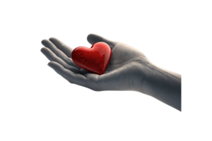A monochrome hand tenderly holds a gleaming, red 3D heart, blending realism with symbolism, highlighting emotional depth and physical touch png