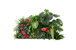 A lively collection of hibiscus, ferns, and monstera leaves forming a lush, colorful arrangement of red and orange blooms png
